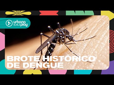 Brote histórico de dengue: ya son 129 los muertos y 180 mil casos registrados #TodoPasa