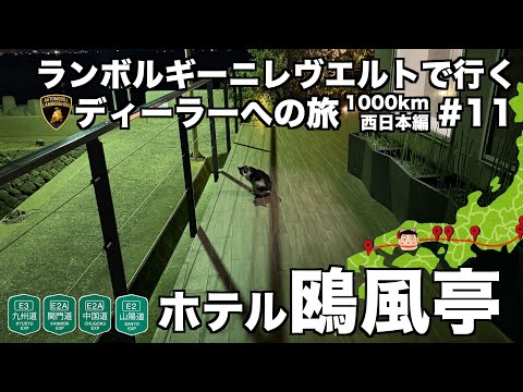 【日本縦断の旅】ランボルギーニ レヴエルトで行く ランボルギーニディーラーへの旅 西日本編(11)福山ホテル鷗風亭でにゃんこ