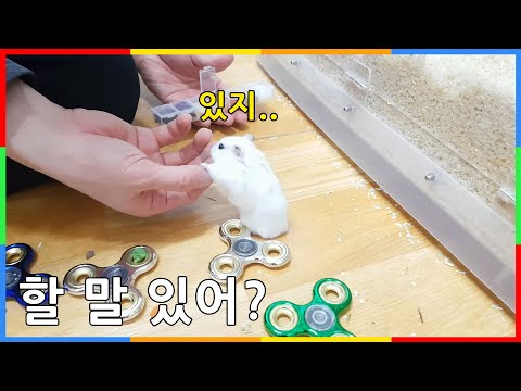 참.. 적극적인 햄스터 | 가끔은 정말이지 당황스럽다니깐
