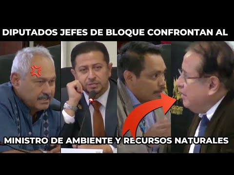 FUERTE DISCUSIÓN ENTRE DIPUTADOS JEFES DE BLOQUE Y MINISTRO POR LOS RECURSOS DE PETÉN, GUATEMALA
