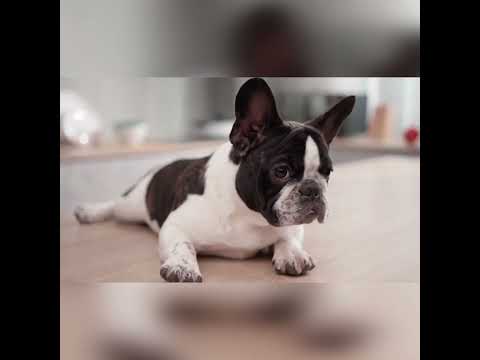 DeliOne 矽膠環保保鮮蓋(一套6個)DeliOne Flex'n Fresh Stretch Lid (Set of 6)