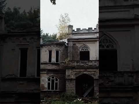 Projekcje już od tygodnia są dostępne wszędzie, ale cały czas żyją i to dzięki Wam!