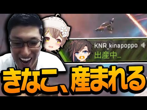 【おめでた】新生きなこ。ここに爆誕【ApexLegends】