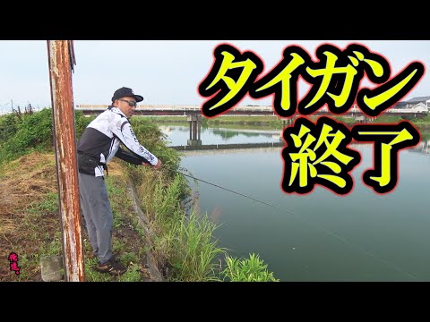 ペンシルベイトでは全く歯が立たない最悪の状況。