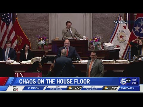 East TN lawmakers react to chaotic scene on house floor