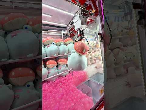 When Watching Too Many Claw Machine Videos Pays Off!