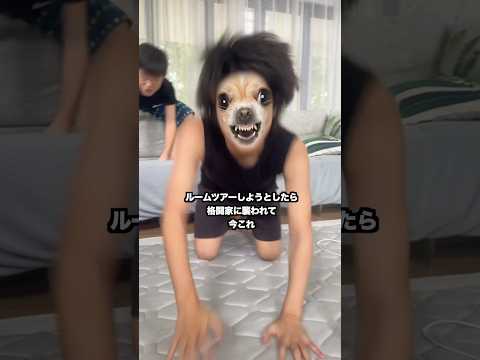フィリピンの新居ルームツアーしようとしたら格闘家に襲われて今これ #日常vlog #vlog