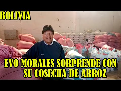 EVO MORALES CONTENTO CON LA PRODUCCIÓN  DE ARROZ PARA EL PUEBLO..