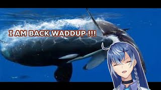 [LIVE] I AM BACK !!! WHAT'S UP FORKER