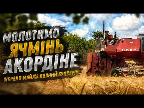 Врожай ячменю 2026!!!
