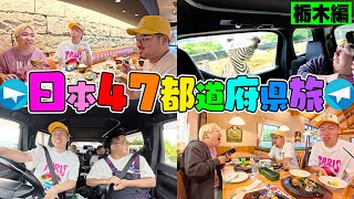 動画サムネイル