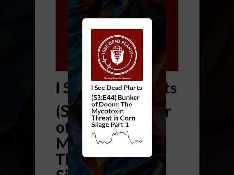 (S3:E44) Bunker of Doom: The Mycotoxin Threat in Corn Silage Part 1 | I See Dead Plants