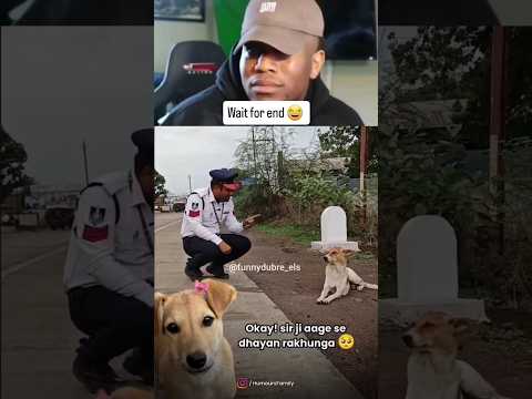 कुत्ता भी बोलता है 🤣🤣 #comedy #funny #video #viral #shorts