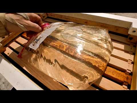 Just A Bag Of Liquid Sugar On A Beehive