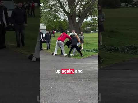 German Shephard Charges On Another Dog in Dog Park