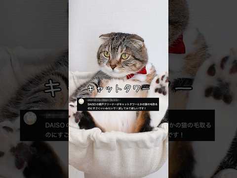 ダイソーの網戸クリーナーを使ったキャットタワー掃除の検証結果 サムネイル