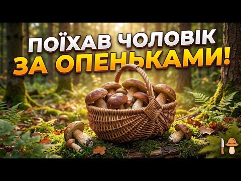 12.10.26. В ЛІС ПО ОПЕНЬКИ. НЕОЧІКУВАННИЙ РЕЗУЛЬТАТ.