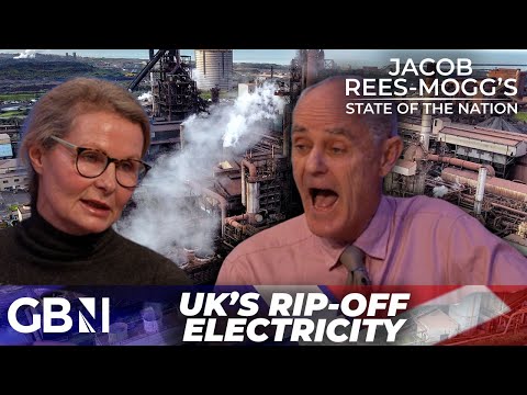 UK's electricity is third most EXPENSIVE in developed WORLD and has KILLED steel