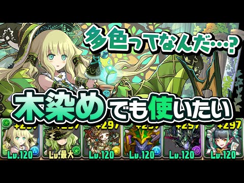 進化したアルジェ×メノア、絶望の木染め編【パズドラ】