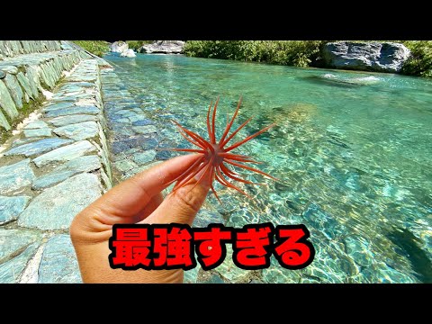 【コイケ13mm】コイケシリーズの中でも群を抜いて釣れると思う