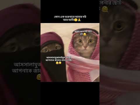 কেমন হবে বেপার টা 😁 #islamicstatus #foryou #motivation #foryou #viral #funnyvideos