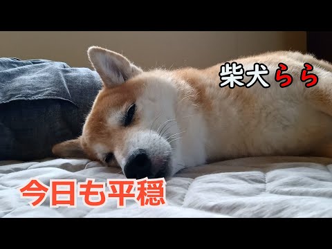 今日も平穏