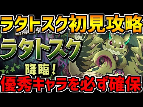 ラタトスク降臨初見攻略！キャラも武器も強いから確保しよう！！【パズドラ】