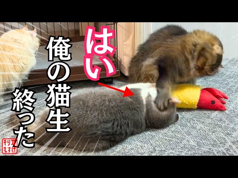 【爆笑】絶体絶命パパを救うまさかのヒーロー登場からの救出劇w