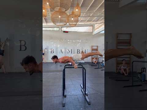 Calisthenics is about the journey (read below)
