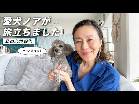 愛犬ノアの旅立ち
