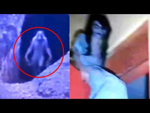 Fenomene Paranormale Care Te Privesc