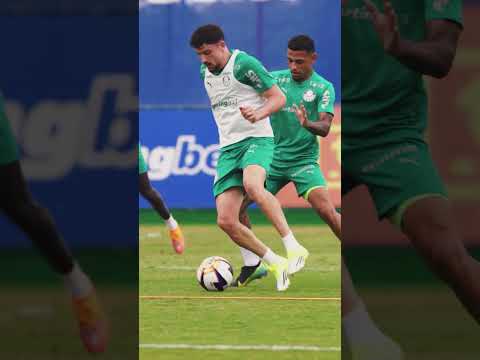 image para ilustrar o artigo