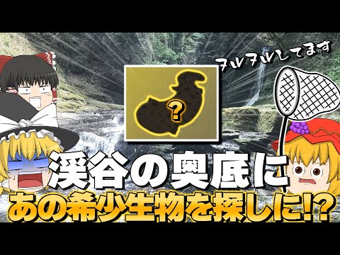 【幻！？】3前万年前から姿を変えていない幻の生き物を見つけに！？【近畿編-三重県】【ゆっくりサクッとバイク旅】