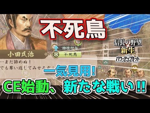 ＜信長の野望・新生PKCE＞新たな羽ばたき（小田家、一気見）