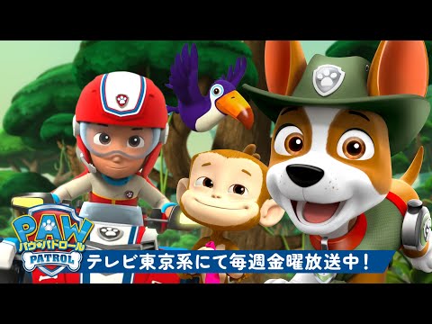 パウ・パトロール | パウ・パトロールは思い切って自然の中のレスキューに向かう！トラッカーと一緒🐵120分 | テレビ東京系にて放送中