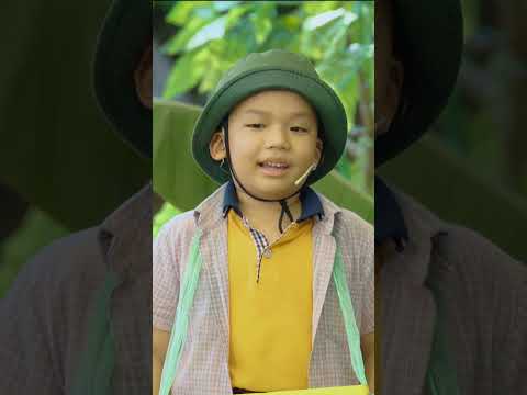 Ông cụ non và Ốc Tiêu hát mở màn cho tập 1 Ngôi Sao Miệt Vườn mùa 4