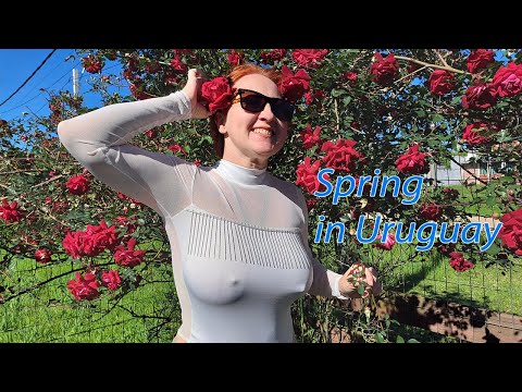 How to feed hummingbirds. Travel. Spring in Uruguay. Mila Naturist.