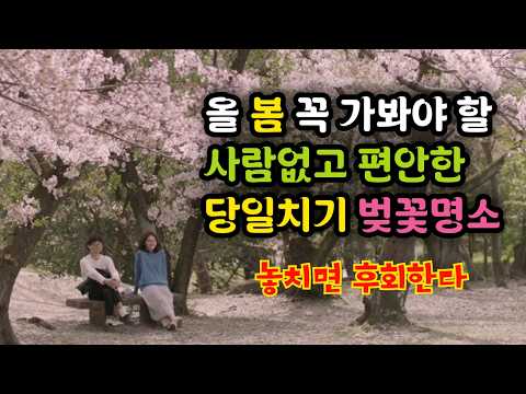 올 봄 꼭 가봐야 할 사람없고 편안한 당일치기 벚꽃명소 