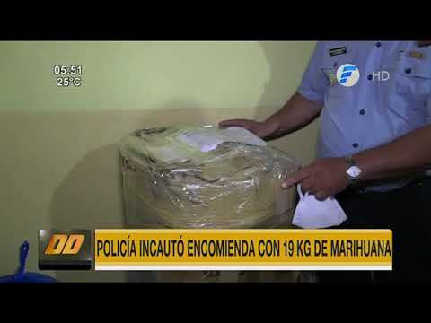 Policía incautó encomienda con 19 kilos de marihuana