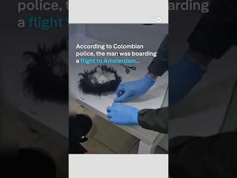 Guess where he'd hidden his smuggled cocaine | DW News