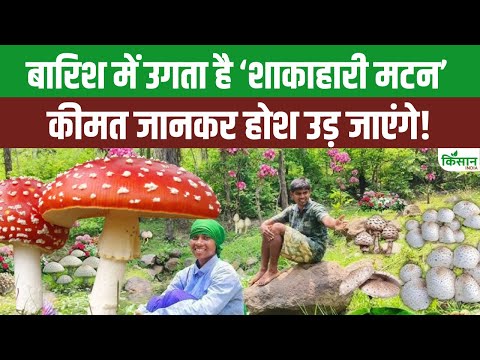 क्या आपने कभी खाया है जंगल का शाकाहारी मटन?। Wild mushroom। The Wild Veg Mutton। Organic Food