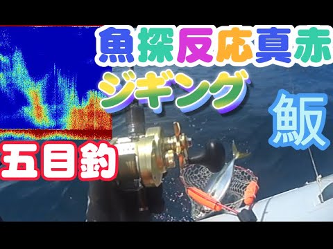 2024年夏 小鯖の楽園で大物キャッチ!