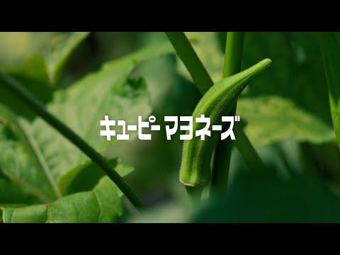 キユーピー マヨネーズ「＆LIFE　オクラ」篇 30秒 キユーピーCM