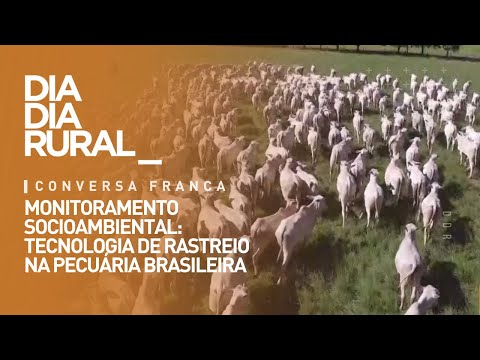 Monitoramento socioambiental: tecnologia de rastreio na pecuária brasileira