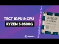 R5 8500G.  iGPU  CPU. — 8500G vs 5600G vs GTX 1050 Ti vs 12100 vs 7500F