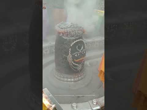 महाकाल आरती उज्जैन ॥ Mahakal Aarti Ujjain#shorts#youtubeshorts#shortvideo#ytshorts#mahadev#ujjain