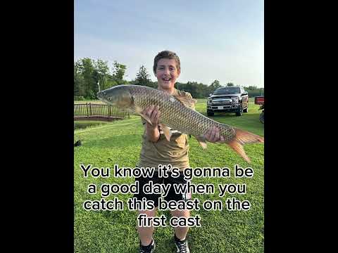 #fish #livingthedream #grasscarp