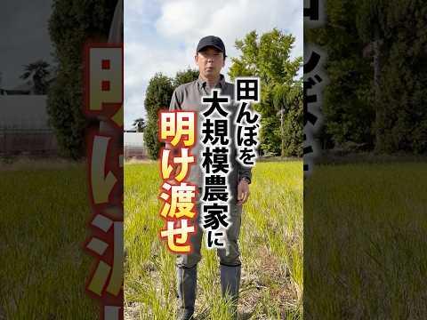 米農家に対する様々なご意見について #コシヒカリ #米農家