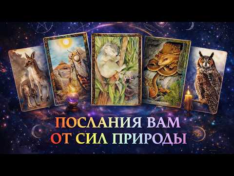 Послания вам от сил природы🦩