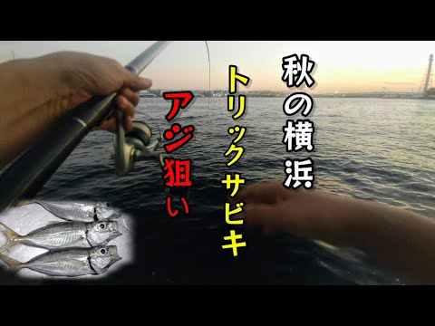 【秋の横濱アジ】9月下旬のふれーゆ裏。トリックサビキでアジ狙い‼